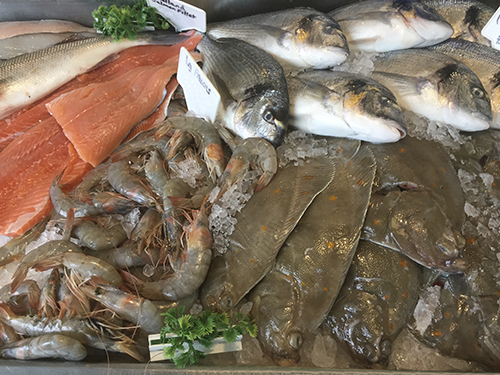 fresh fish counter